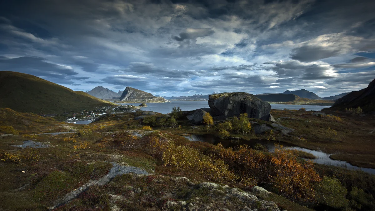 INPUT — reference / råoptagelse
